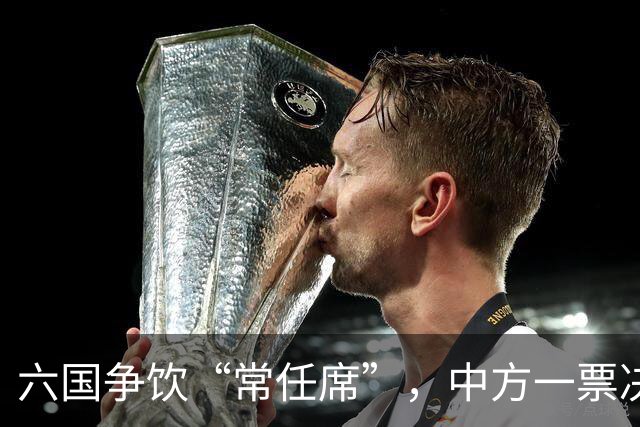 六国争饮“常任席”，中方一票决胜千里！
